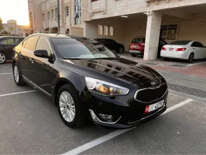 2014 Kia Cadenza