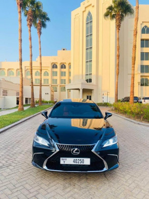 2020 Lexus ES