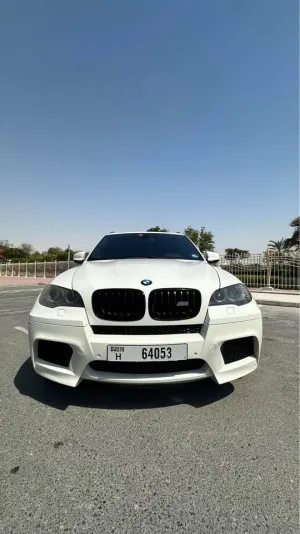 2010 بي أم دابليو اكس - 5