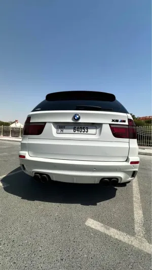 2010 بي أم دابليو اكس - 5