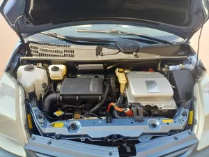 2008 Toyota Prado