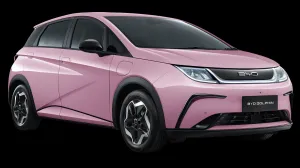 2024 BYD Dolphin in dubai