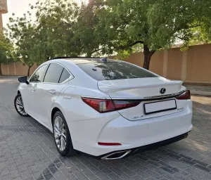 2020 Lexus ES