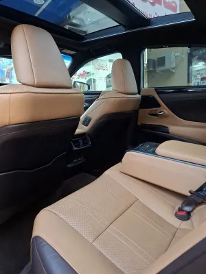 2020 Lexus ES