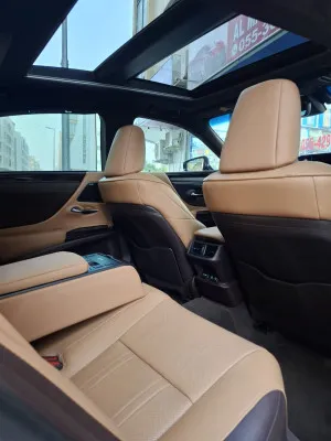 2020 Lexus ES