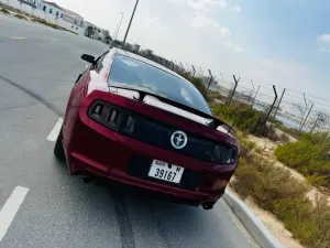 2014 فورد موستانج