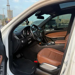 2017 Mercedes-Benz GLS