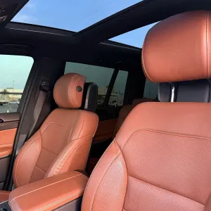 2017 Mercedes-Benz GLS