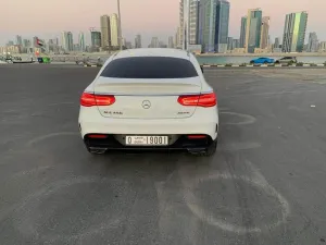 2017 Mercedes-Benz GLE