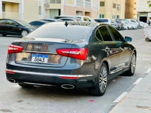 2014 Kia Cadenza
