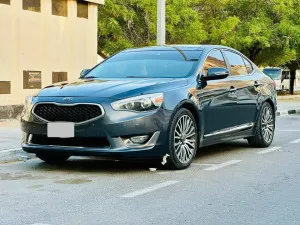 2014 Kia Cadenza