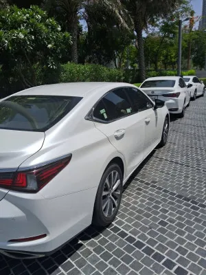 2019 لكزس ES - اي اس