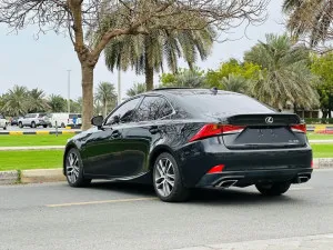 2019 Lexus IS