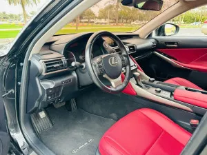 2019 Lexus IS
