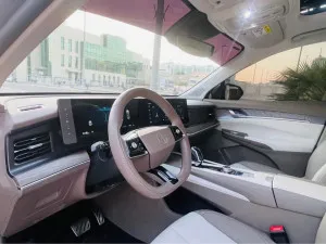 2025 MG RX9