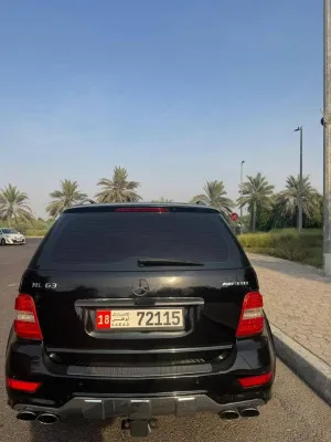 2010 مرسيدس-بنز ام ال
