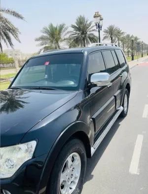 2013 Mitsubishi Pajero