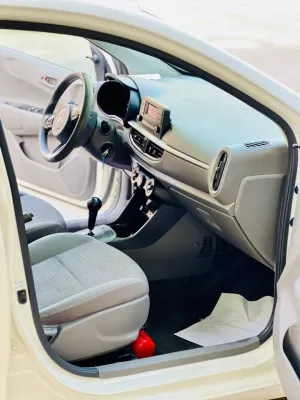 2018 Kia Picanto