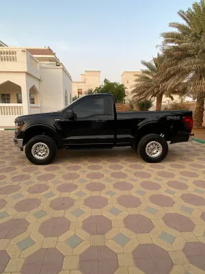 2024 فورد أف ١٥٠