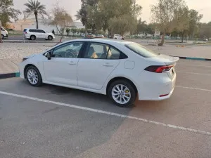 2020 تويوتا كورولا