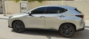 2024 Lexus NX