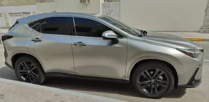 2024 Lexus NX