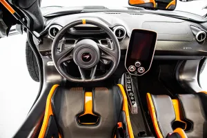 2019 McLaren SENNA