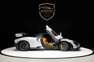 2019 McLaren SENNA