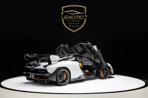 2019 McLaren SENNA