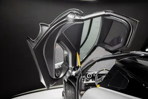 2019 McLaren SENNA
