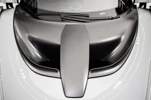 2019 McLaren SENNA