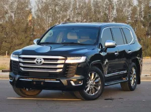2010 Toyota Land Cruiser