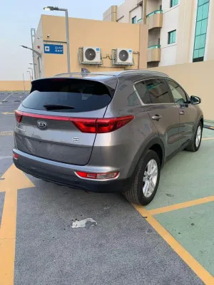 2019 كيا سبورتاج