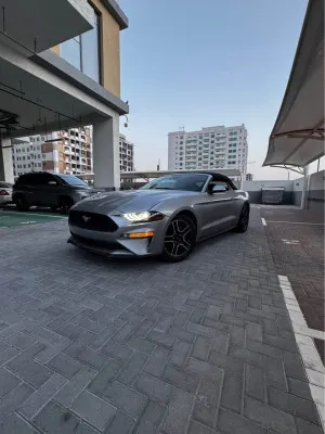 2021 Ford Mustang