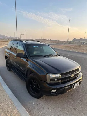 2004 Chevrolet Trailblazer