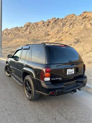 2004 Chevrolet Trailblazer