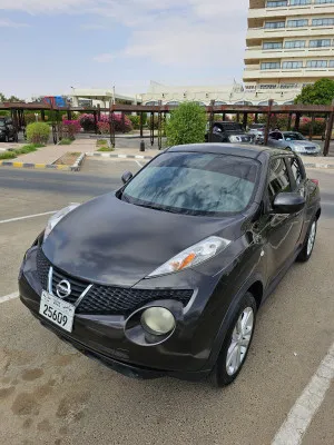 2012 Nissan Juke