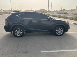 2020 Lexus NX