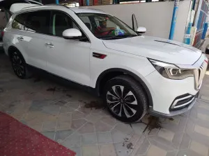 2019 Hongqi HS7