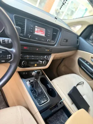 2015 Kia Sedona