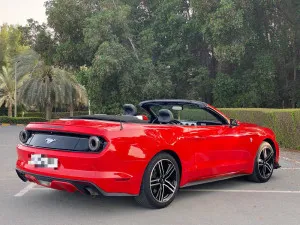 2017 فورد موستانج