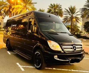 2013 Mercedes-Benz Sprinter