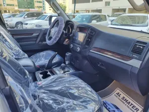 2010 Mitsubishi Pajero