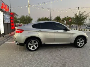 2010 بي أم دابليو اكس - 6