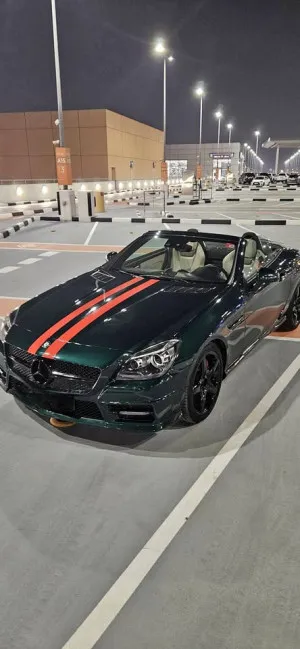 2014 Mercedes-Benz SLK