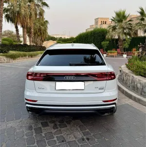 2020 Audi Q8