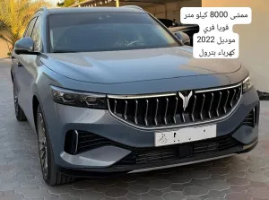 2022 Voyah Free in dubai