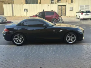 2010 BMW Z4