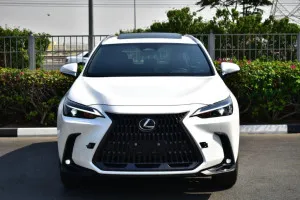 2025 Lexus NX in dubai