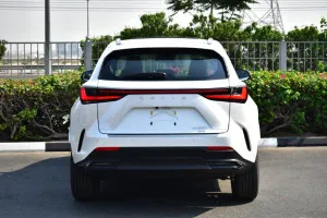 2025 Lexus NX